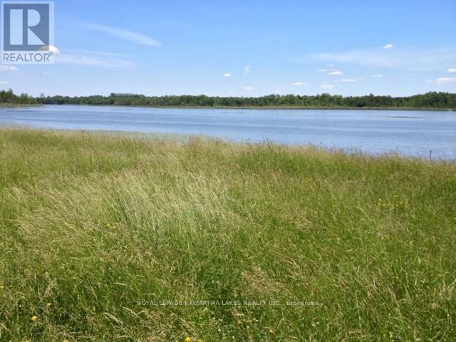 0 O'reilly Lane, Kawartha Lakes, Ontario  K0M 2T0 - Photo 2 - X12786018