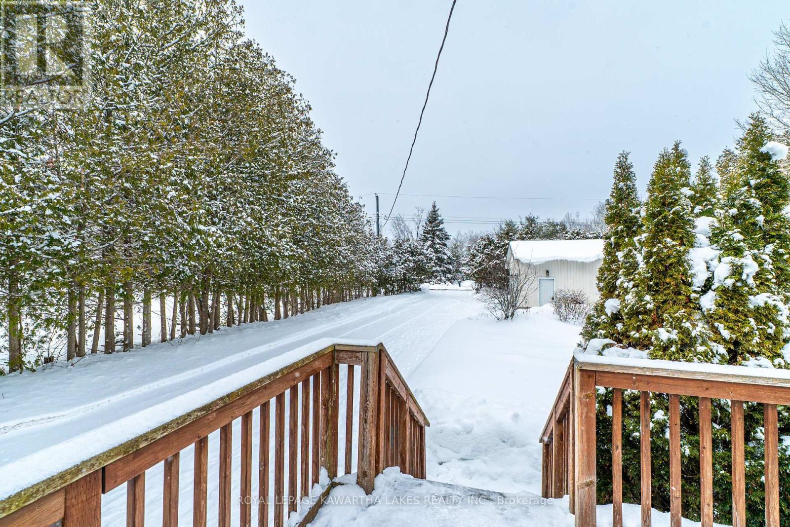 130 Crawford Road, Kawartha Lakes, Ontario  L0K 1B0 - Photo 19 - X12817896