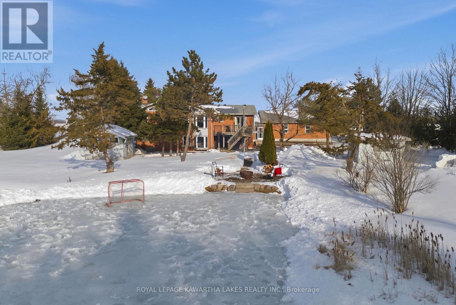 77 County Rd 36, Kawartha Lakes, Ontario  K9V 4R4 - Photo 5 - X12853898