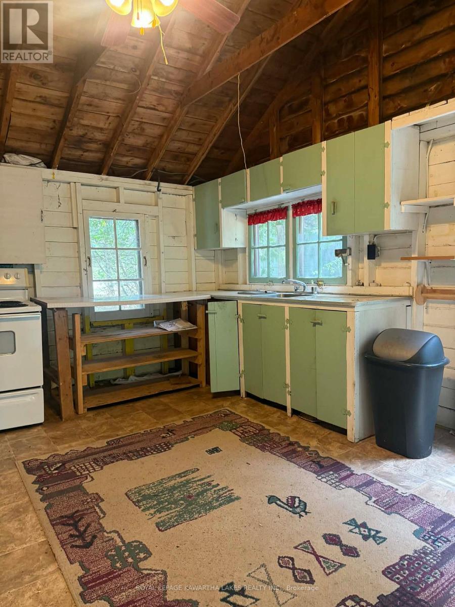 8 Sturgeon Glen Road, Kawartha Lakes, Ontario  K0M 1N0 - Photo 4 - X12870970