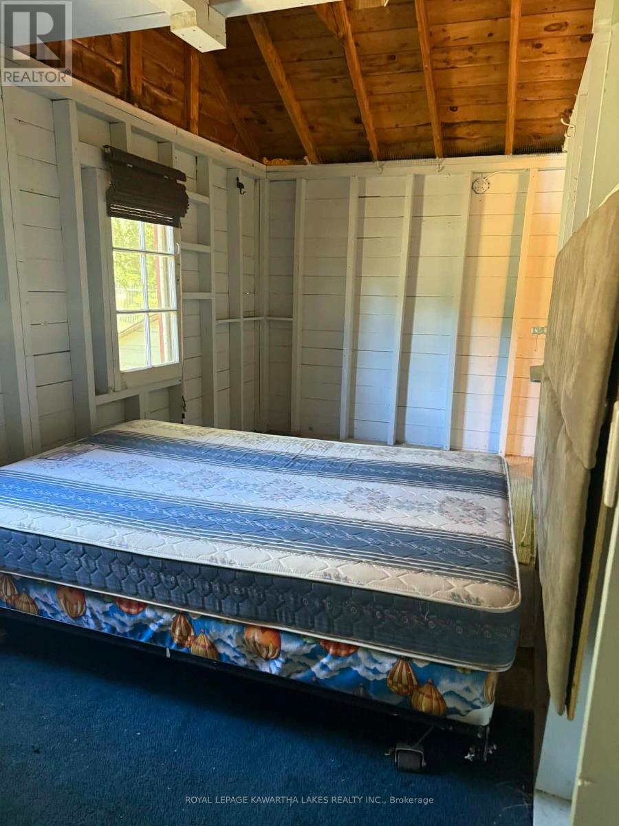 8 Sturgeon Glen Road, Kawartha Lakes, Ontario  K0M 1N0 - Photo 6 - X12870970