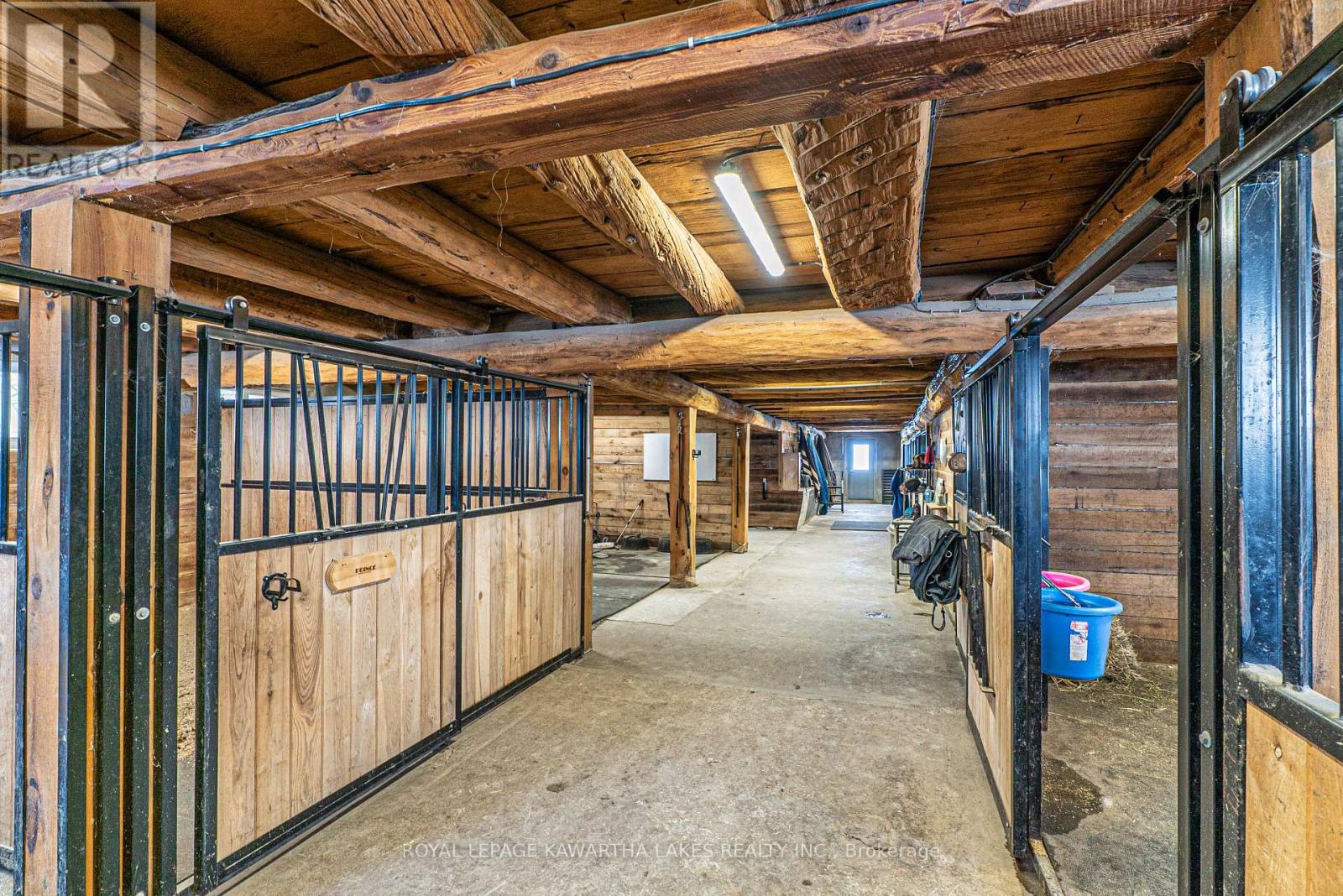 50 Farmview Road, Kawartha Lakes, Ontario  K0L 2W0 - Photo 44 - X12903864