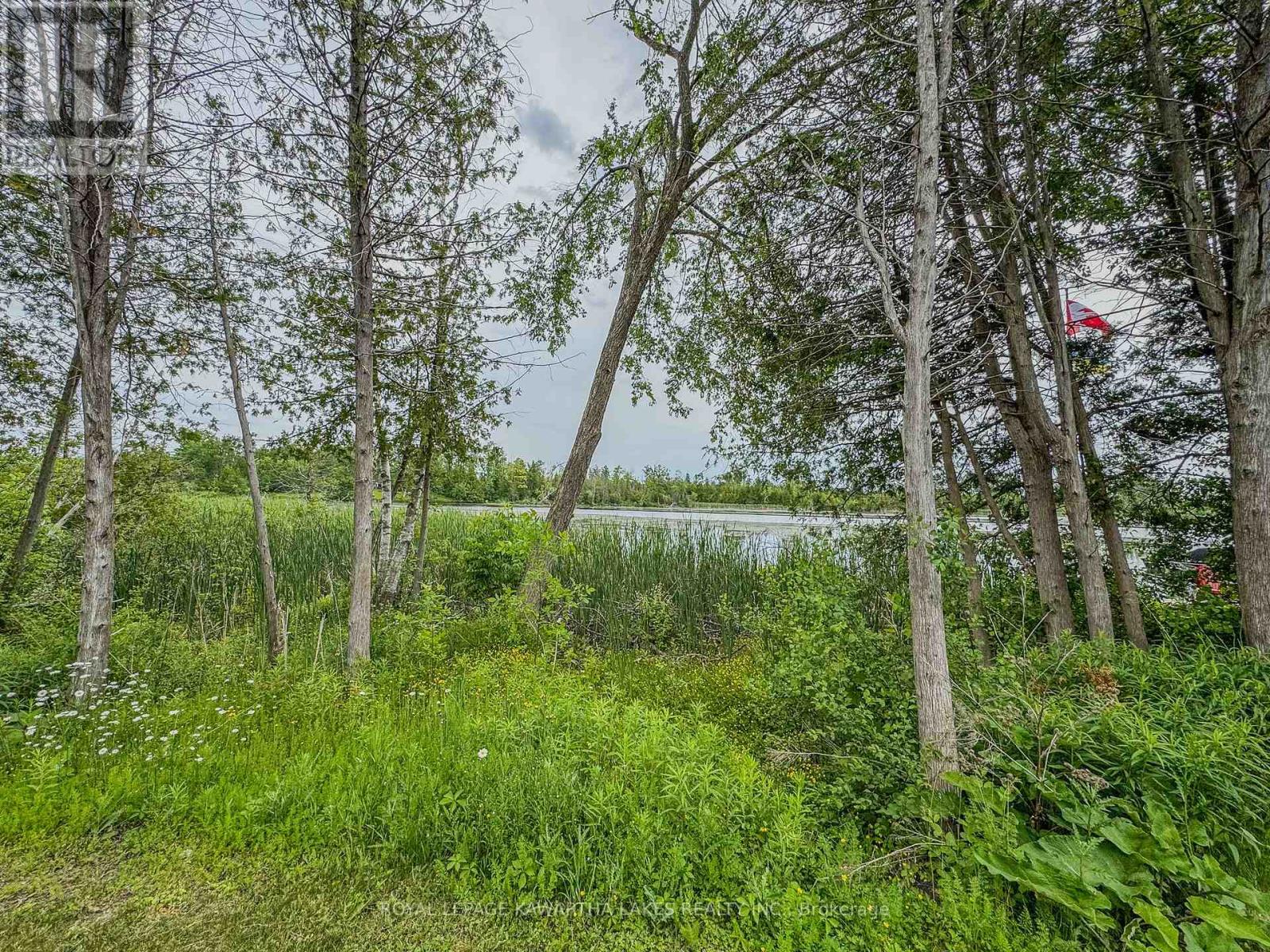 Wv19 - 657 Thunder Bridge Road, Kawartha Lakes, Ontario  K9V 4R1 - Photo 16 - X12917940