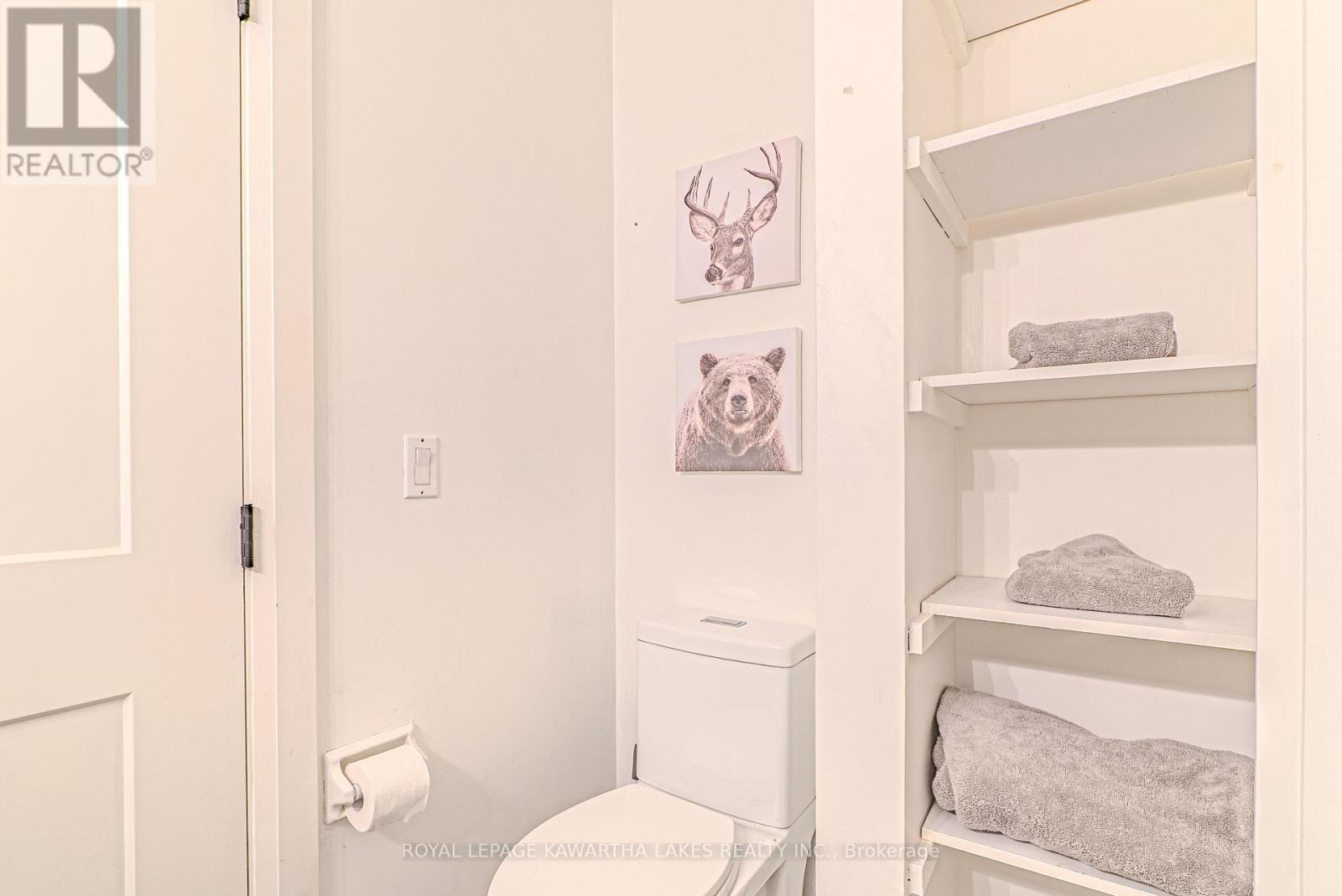 56 Ellice Street, Kawartha Lakes, Ontario  K0M 1N0 - Photo 31 - X12931804