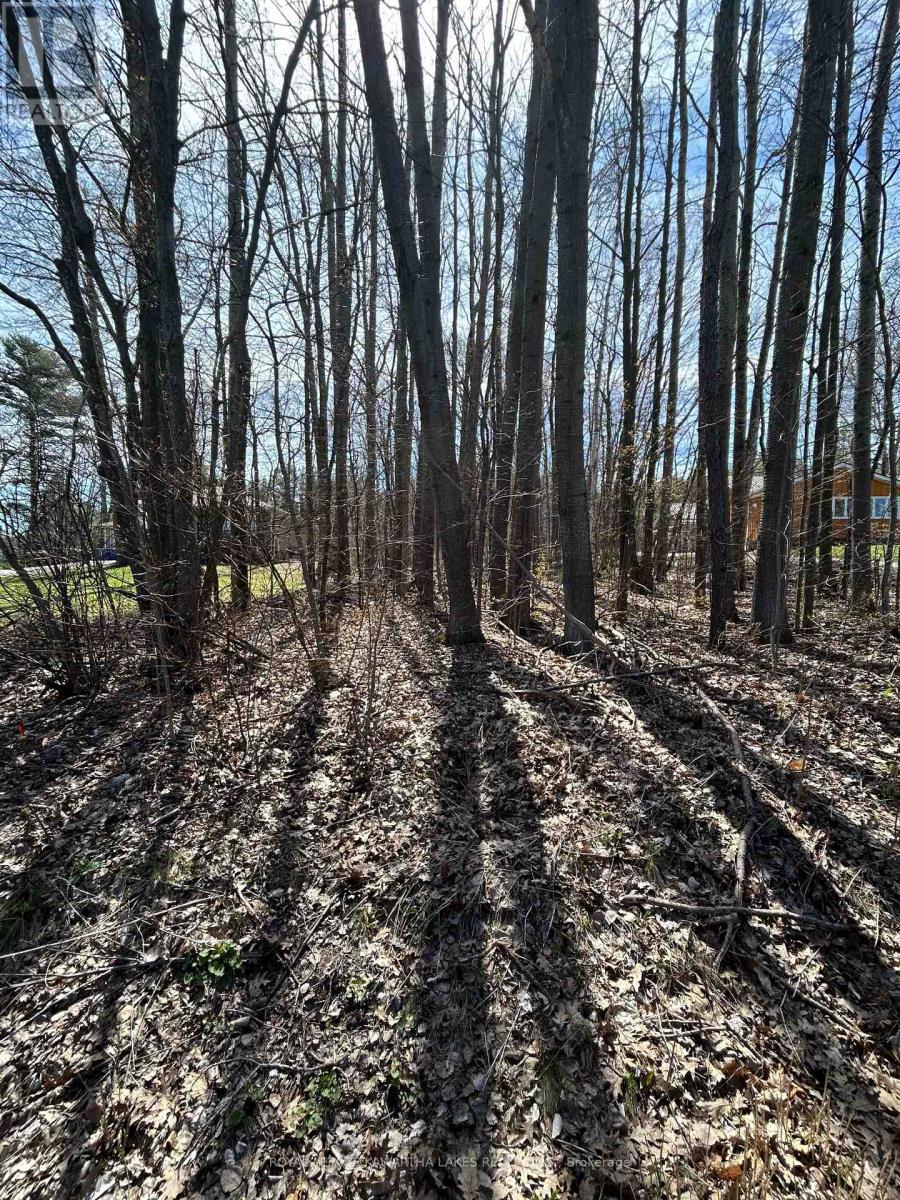 0 Poplar Drive, Hamilton Township, Ontario  K0L 1E0 - Photo 2 - X12942792