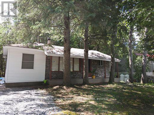 81 Mcguire Beach Road, Kawartha Lakes, Ontario  K0M 2B0 - Photo 11 - X12944454
