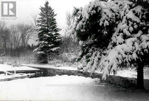 81 Mcguire Beach Road, Kawartha Lakes, Ontario  K0M 2B0 - Photo 13 - X12944454