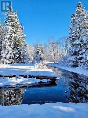 81 Mcguire Beach Road, Kawartha Lakes, Ontario  K0M 2B0 - Photo 15 - X12944454