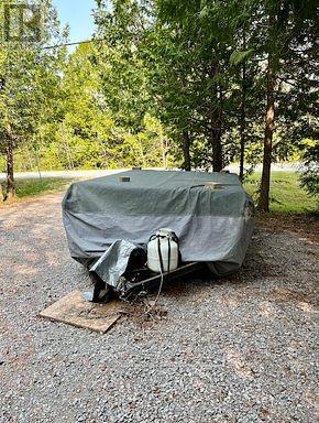 81 Mcguire Beach Road, Kawartha Lakes, Ontario  K0M 2B0 - Photo 37 - X12944454