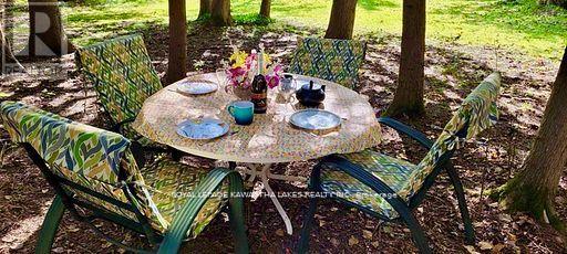 81 Mcguire Beach Road, Kawartha Lakes, Ontario  K0M 2B0 - Photo 40 - X12944454