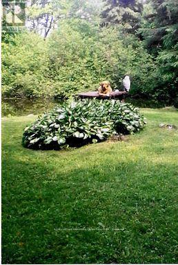 81 Mcguire Beach Road, Kawartha Lakes, Ontario  K0M 2B0 - Photo 41 - X12944454