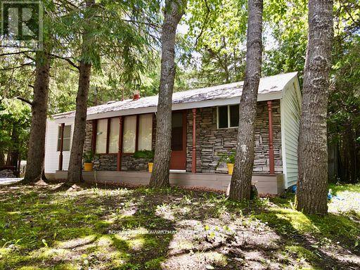 81 Mcguire Beach Road, Kawartha Lakes, Ontario  K0M 2B0 - Photo 7 - X12944454