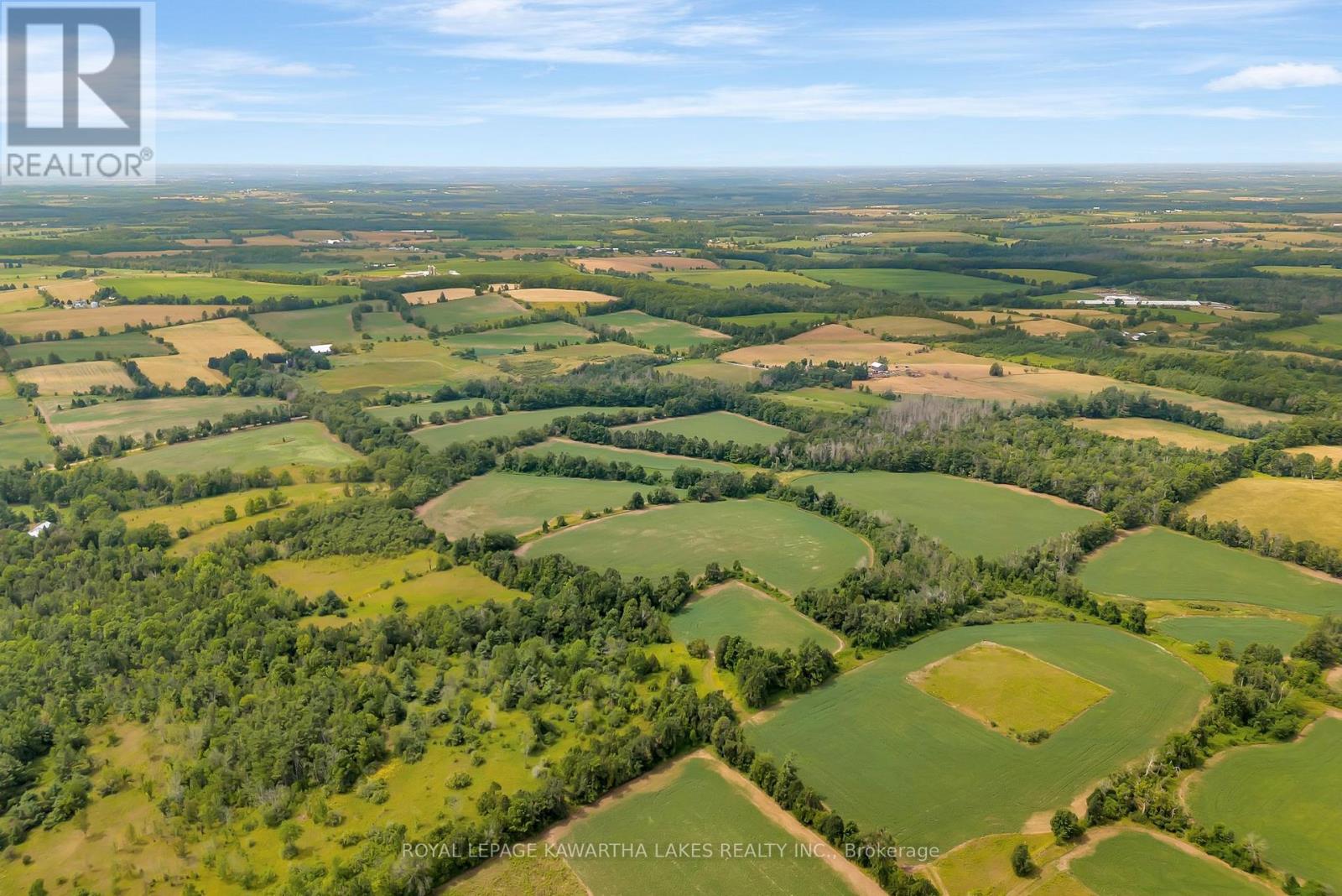 1707 Blezard Line E, Otonabee-South Monaghan, Ontario  K0L 2B0 - Photo 10 - X12949676