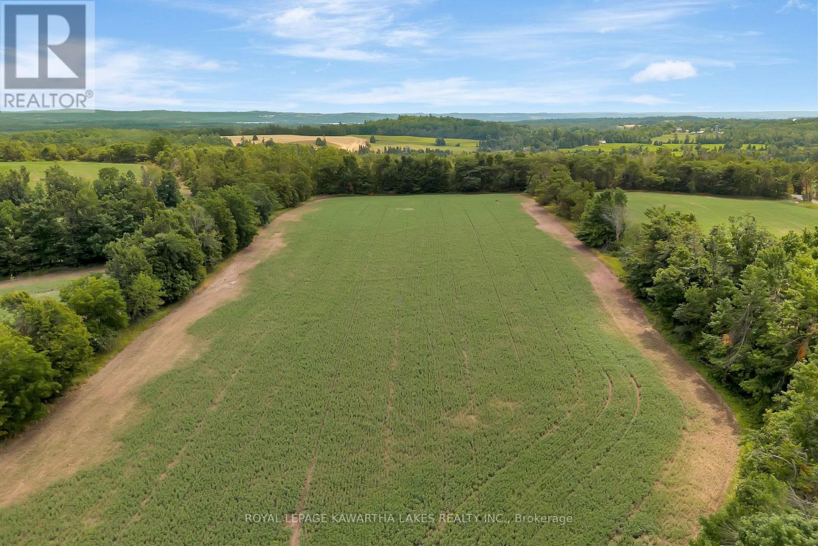 1707 Blezard Line E, Otonabee-South Monaghan, Ontario  K0L 2B0 - Photo 19 - X12949676