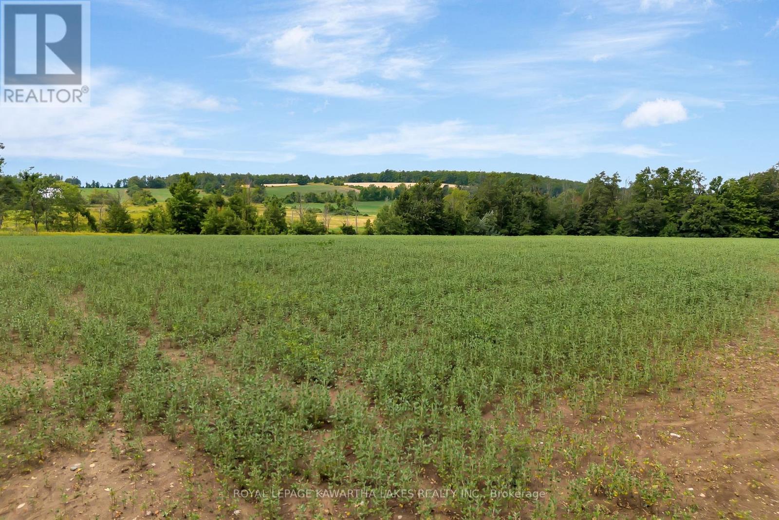 1707 Blezard Line E, Otonabee-South Monaghan, Ontario  K0L 2B0 - Photo 21 - X12949676