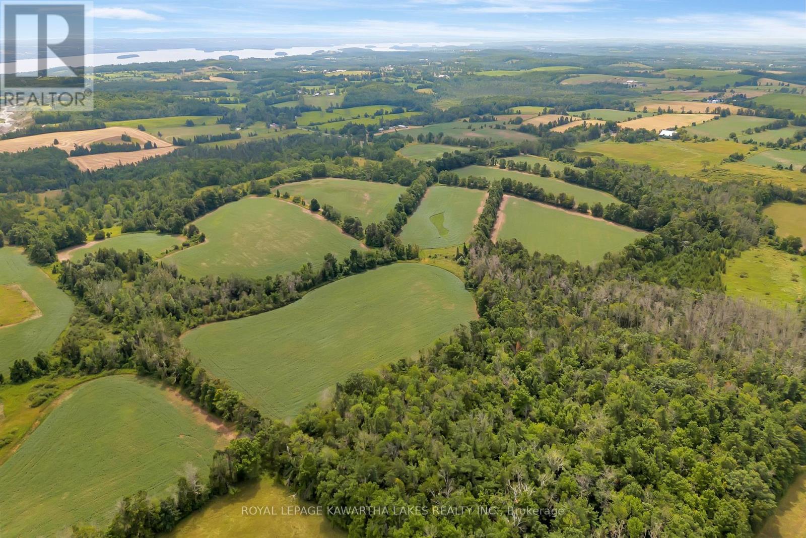 1707 Blezard Line E, Otonabee-South Monaghan, Ontario  K0L 2B0 - Photo 8 - X12949676