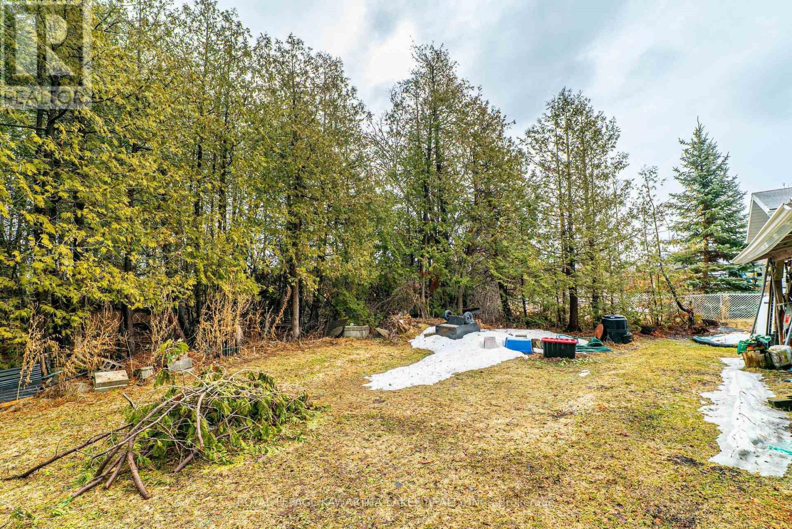 70 Blythe Shore Road, Kawartha Lakes, Ontario  K0M 1N0 - Photo 25 - X12950582