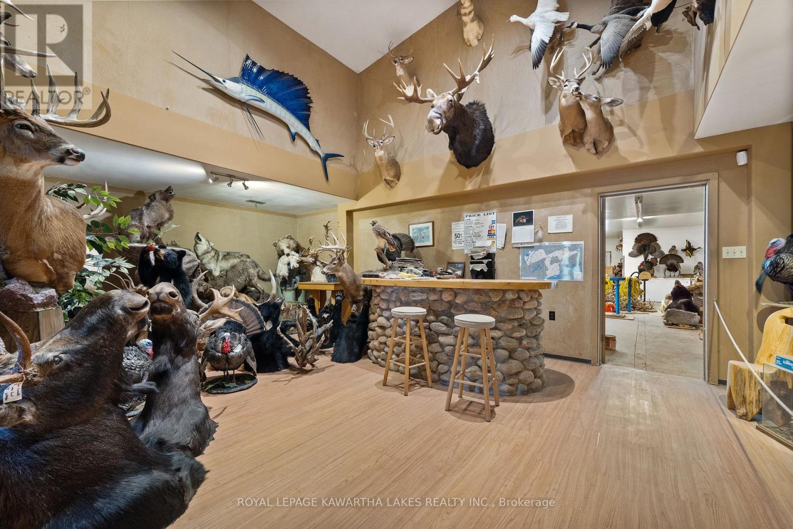 890 Woodville Road, Kawartha Lakes, Ontario  K0M 2T0 - Photo 41 - X12951698