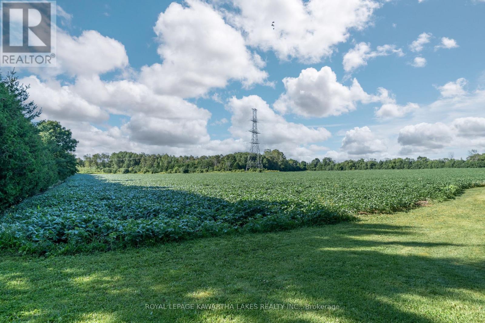 890 Woodville Road, Kawartha Lakes, Ontario  K0M 2T0 - Photo 46 - X12951698