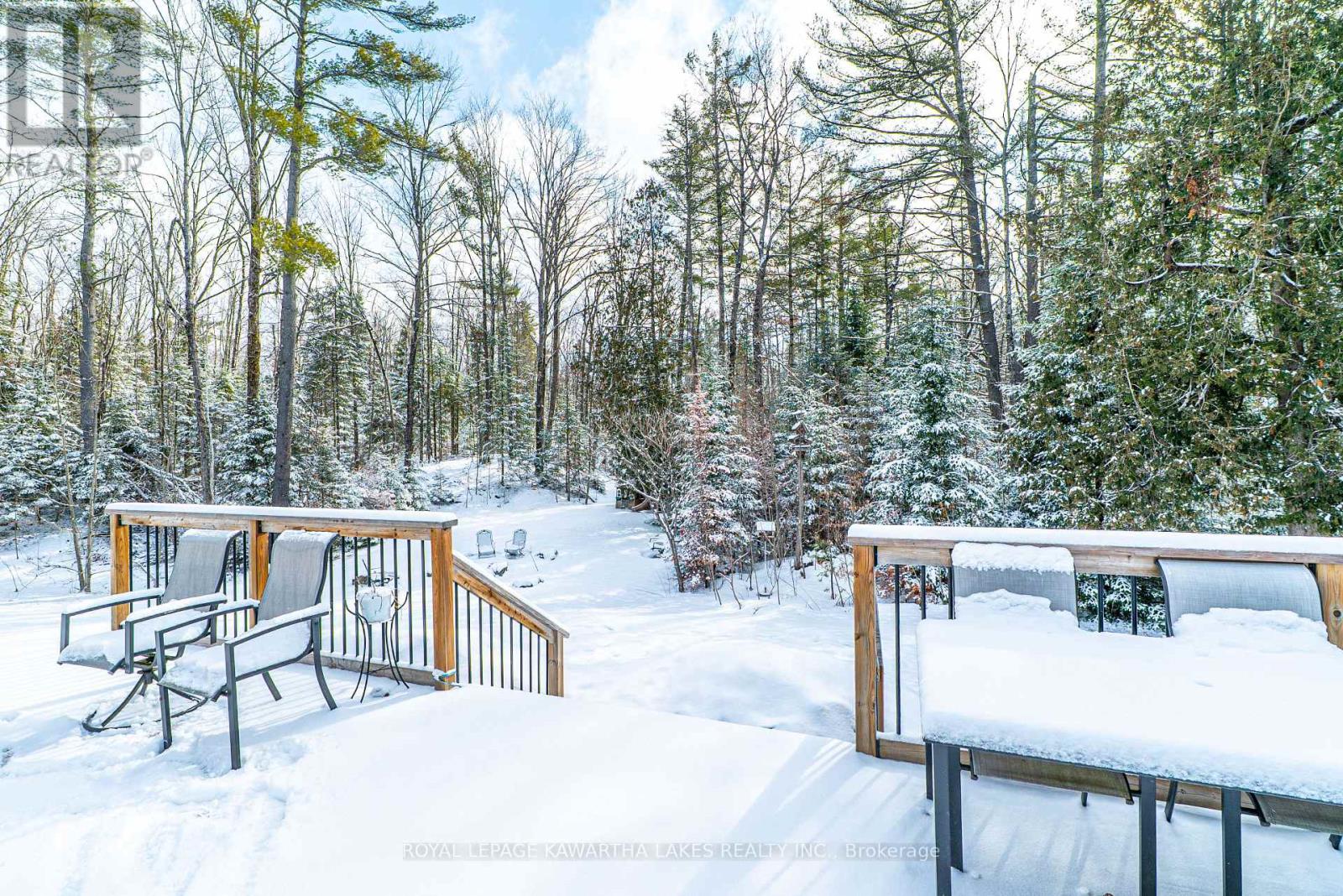 914 County Rd 49, Trent Lakes, Ontario  K0M 1A0 - Photo 41 - X12971700