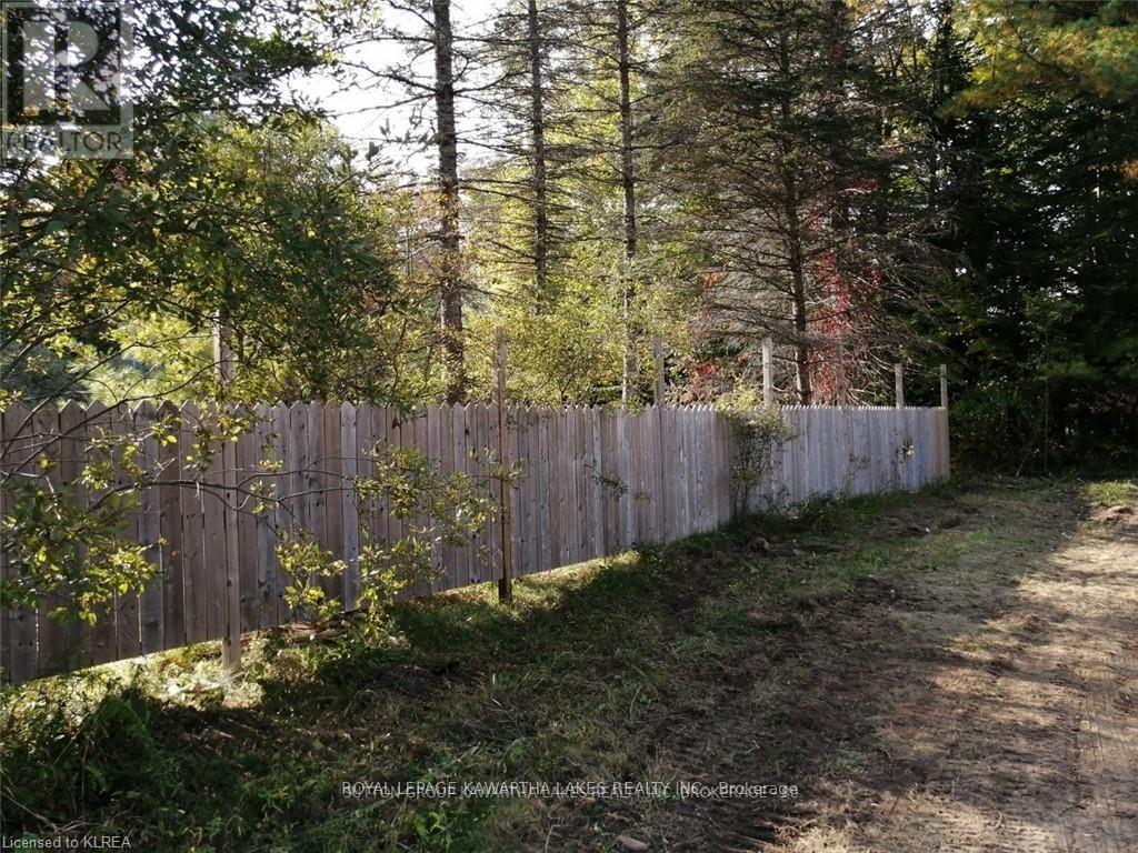 7545 Highway 35, Kawartha Lakes, Ontario  K0M 2L0 - Photo 2 - X12995858