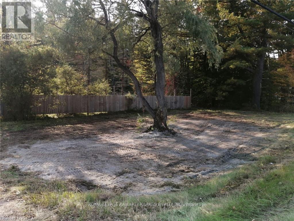 7545 Highway 35, Kawartha Lakes, Ontario  K0M 2L0 - Photo 3 - X12995858