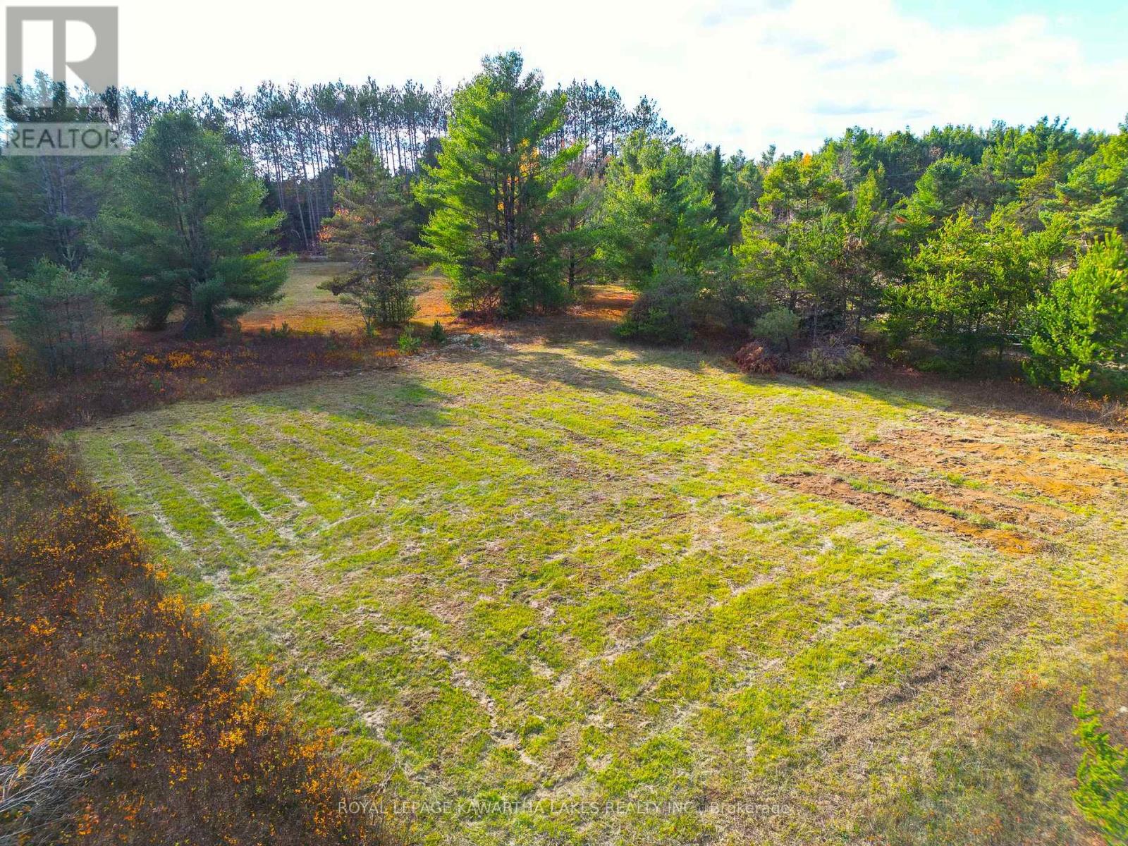 Lt 36 Hodgson Drive, Kawartha Lakes, Ontario  K0M 1C0 - Photo 5 - X13018478