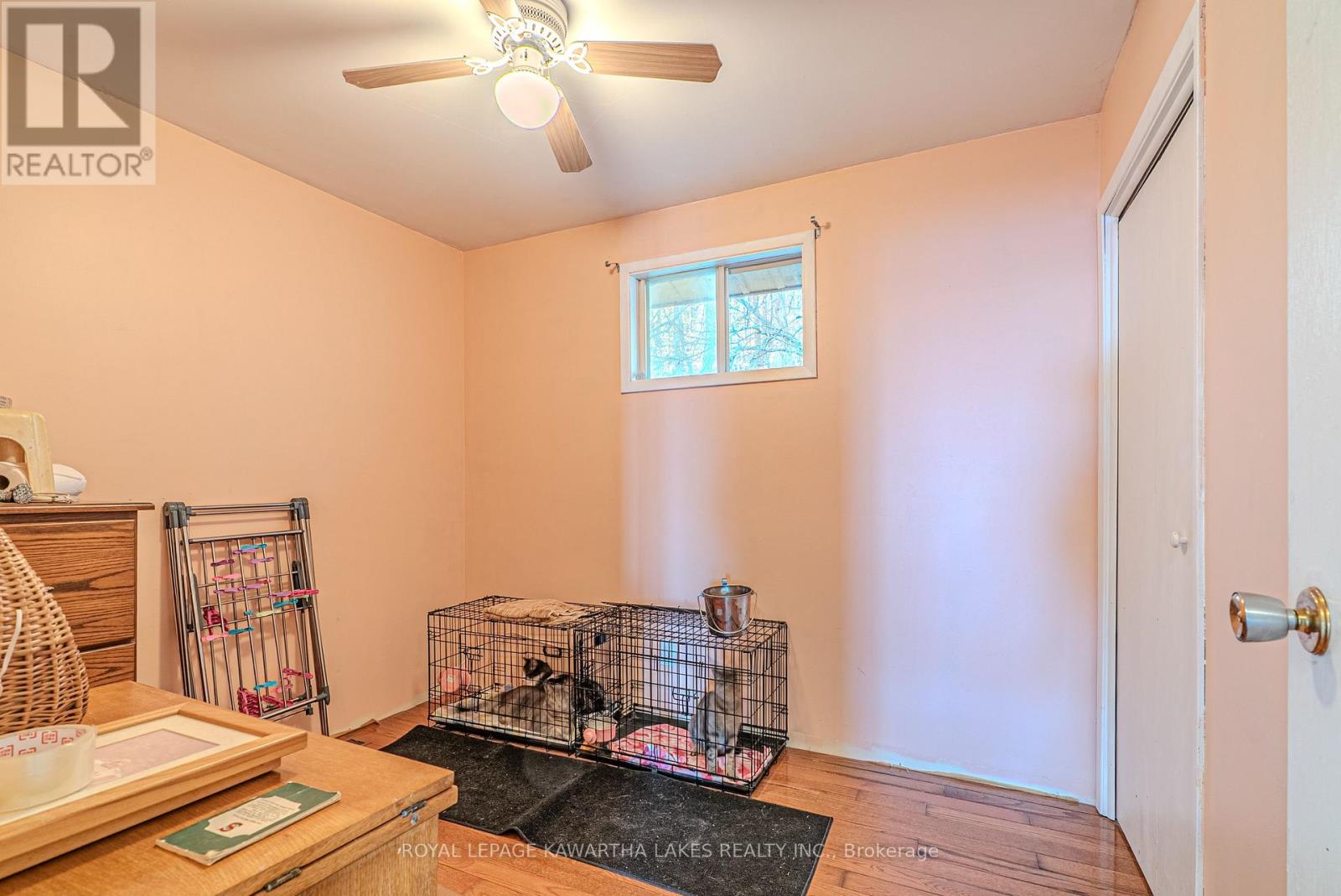 805 Cedar Glen Road, Kawartha Lakes, Ontario  K0M 1L0 - Photo 19 - X13051124