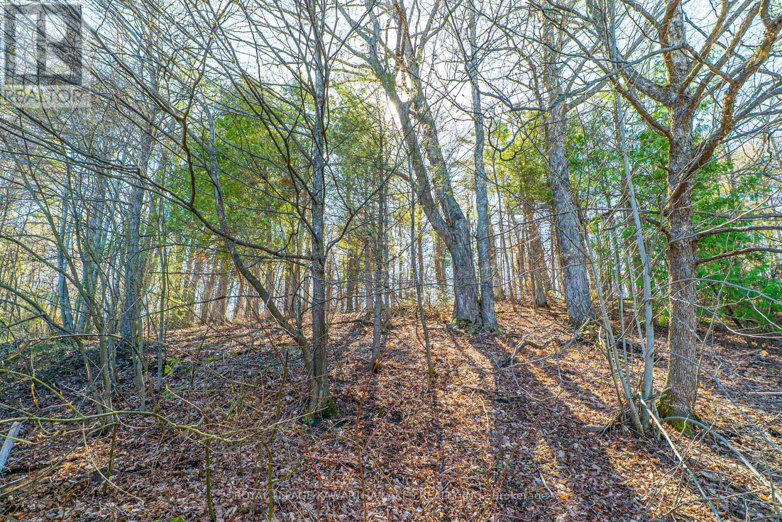 805 Cedar Glen Road, Kawartha Lakes, Ontario  K0M 1L0 - Photo 27 - X13051124