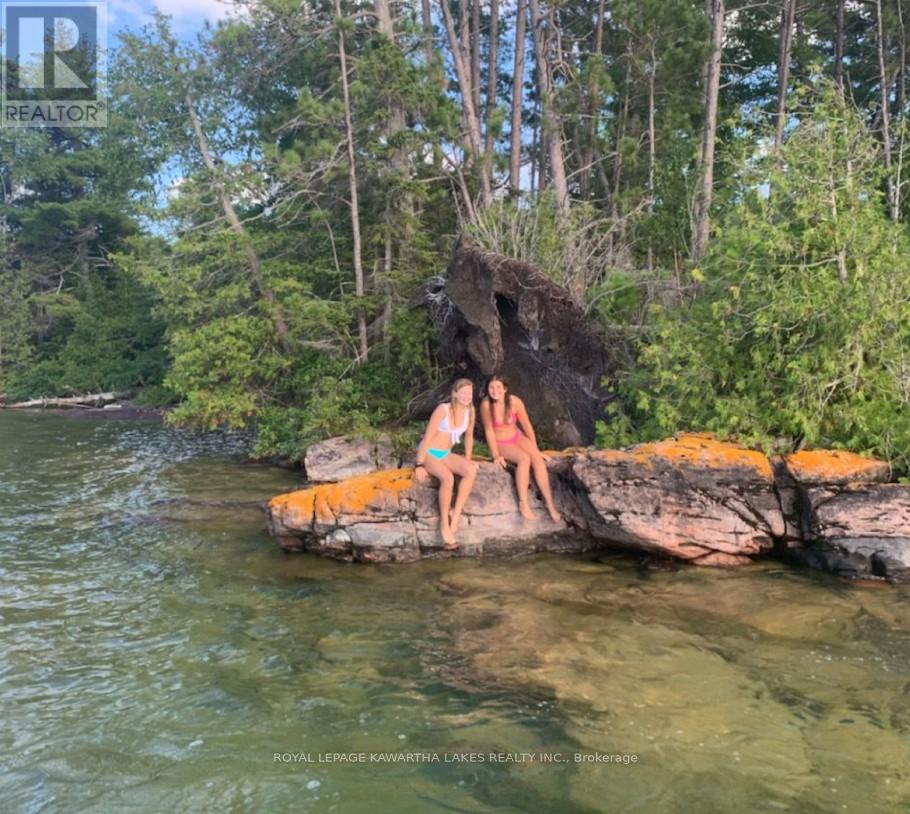 51 Buelow Road, Bonnechere Valley, Ontario  K0J 1T0 - Photo 12 - X13052296