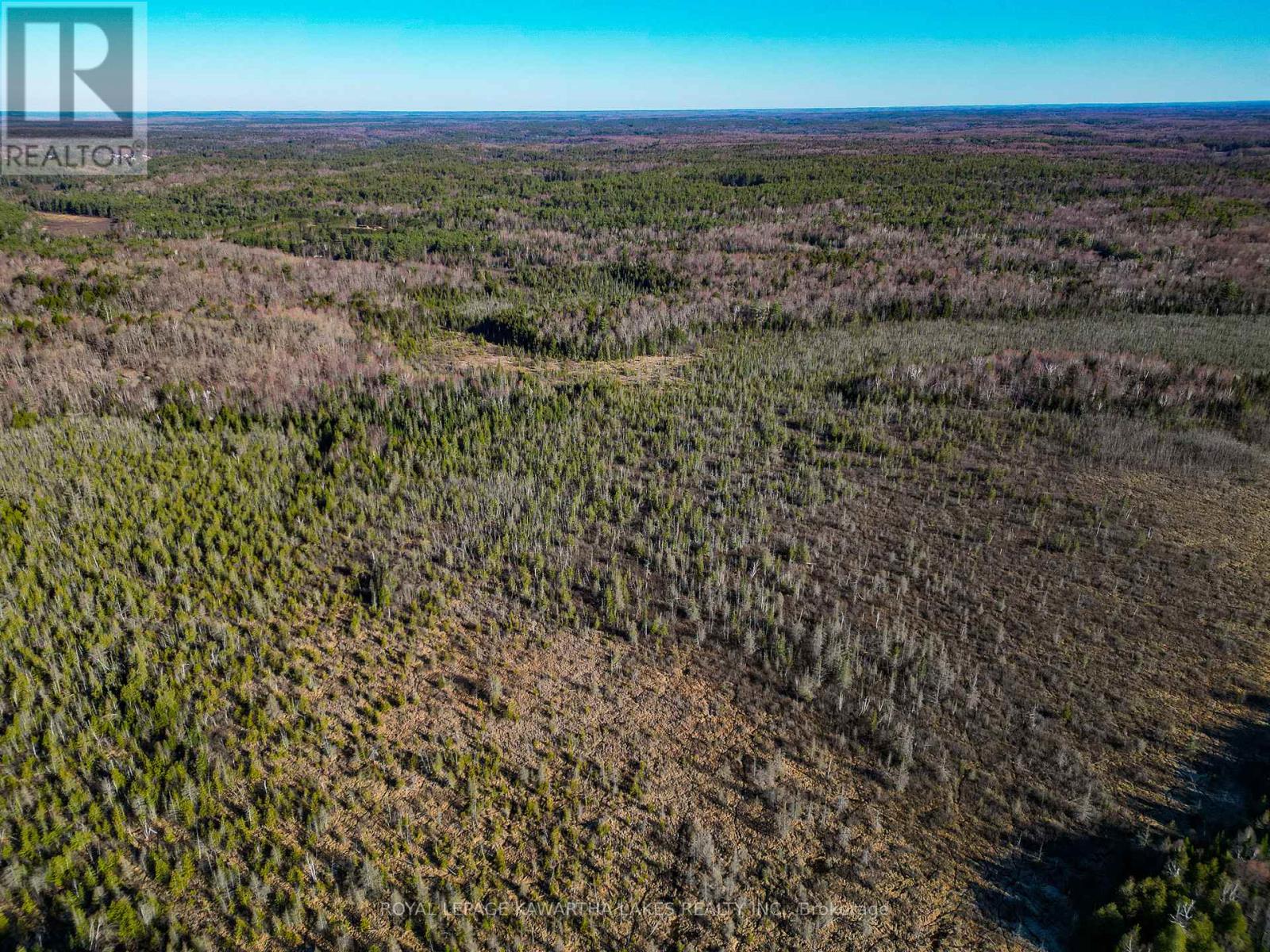 Lt 4 Dutch Line Road W, Trent Lakes, Ontario  K0M 2A0 - Photo 12 - X13076660