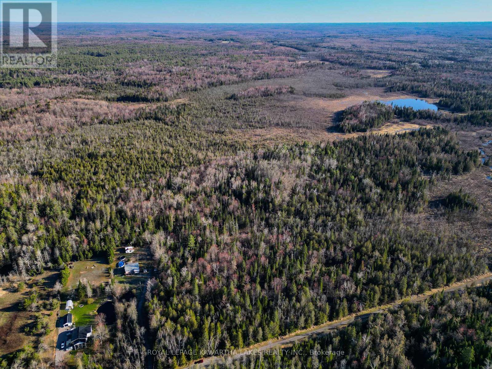 Lt 4 Dutch Line Road W, Trent Lakes, Ontario  K0M 2A0 - Photo 14 - X13076660