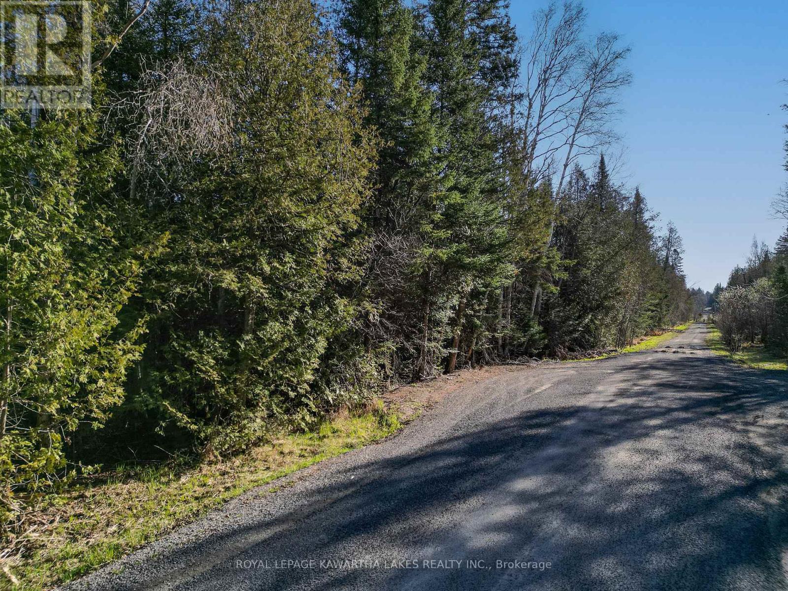 Lt 4 Dutch Line Road W, Trent Lakes, Ontario  K0M 2A0 - Photo 5 - X13076660