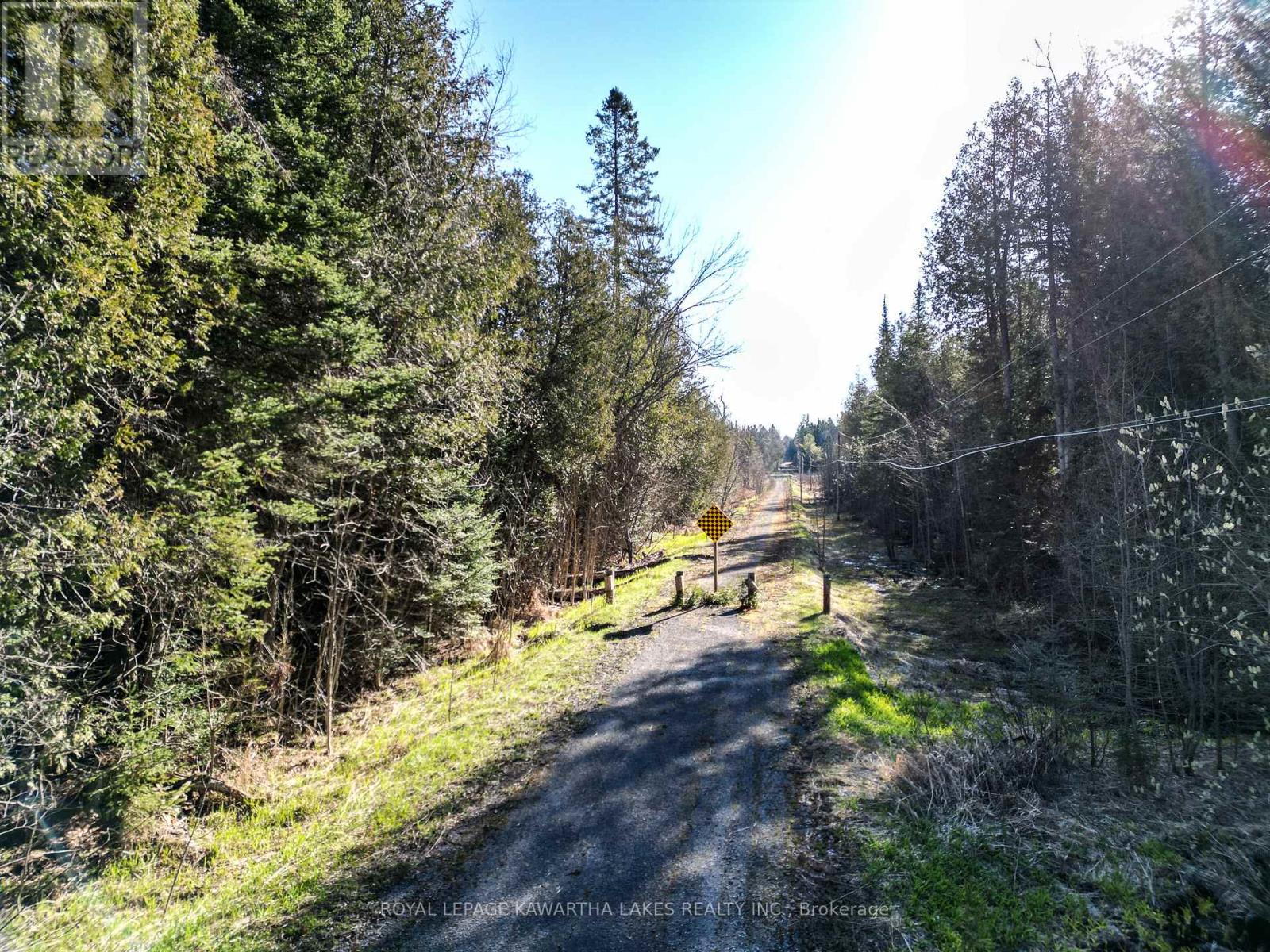 Lt 4 Dutch Line Road W, Trent Lakes, Ontario  K0M 2A0 - Photo 7 - X13076660