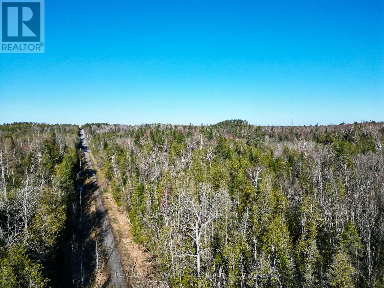 Lt 4 Dutch Line Road W, Trent Lakes, Ontario  K0M 2A0 - Photo 9 - X13076660