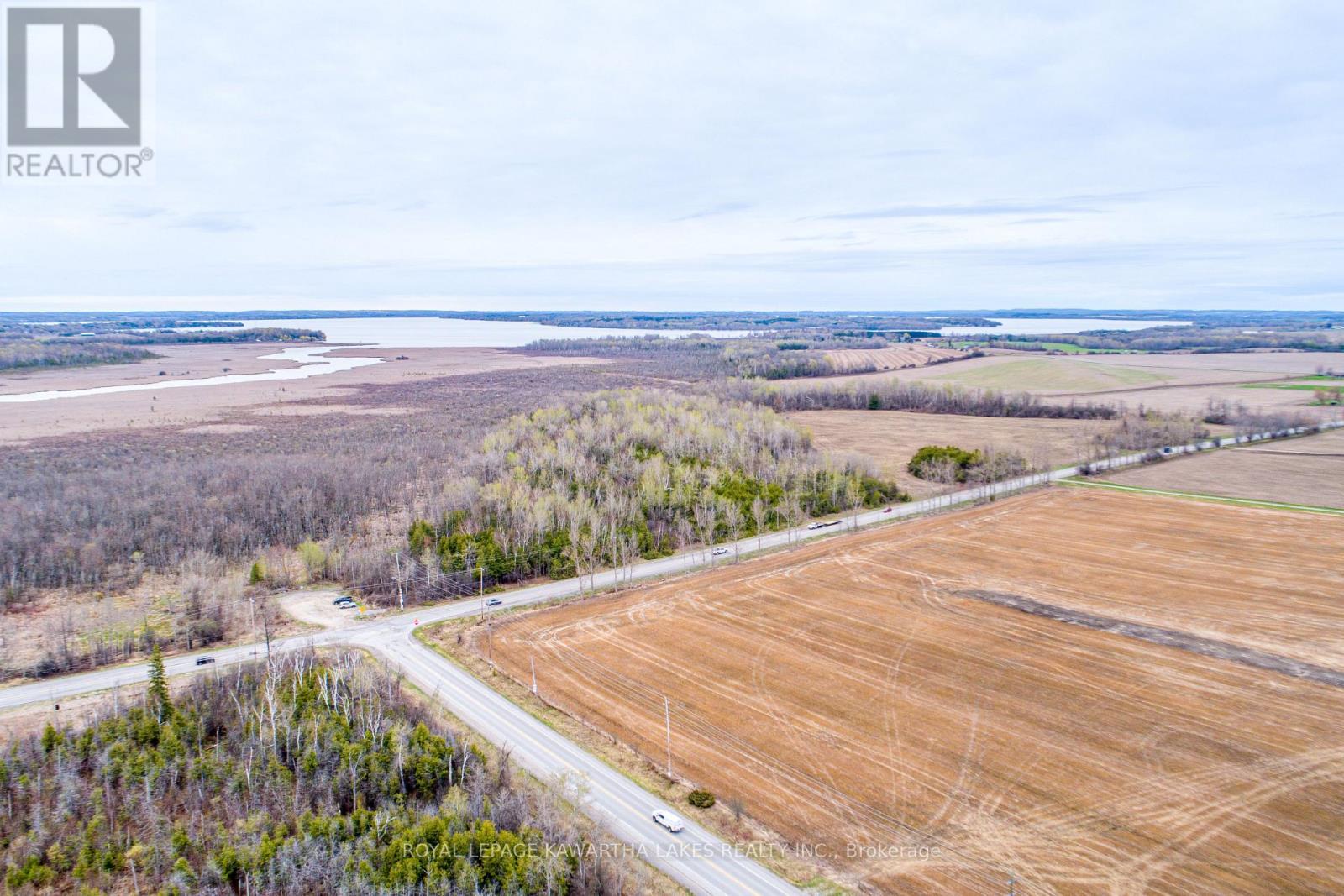890 Ramsey Road, Kawartha Lakes, Ontario  K0M 2C0 - Photo 10 - X13079264