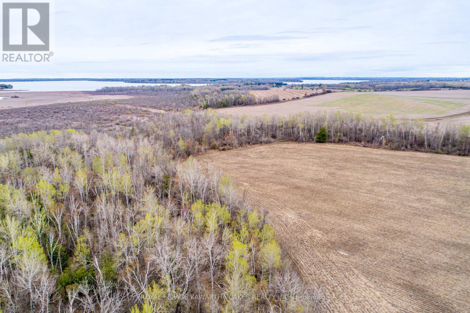 890 Ramsey Road, Kawartha Lakes, Ontario  K0M 2C0 - Photo 15 - X13079264