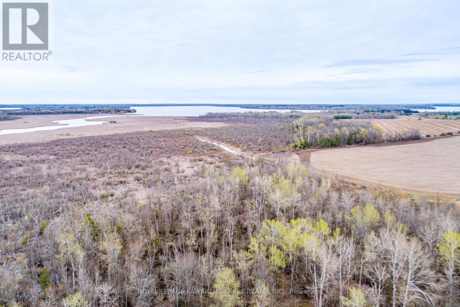 890 Ramsey Road, Kawartha Lakes, Ontario  K0M 2C0 - Photo 16 - X13079264