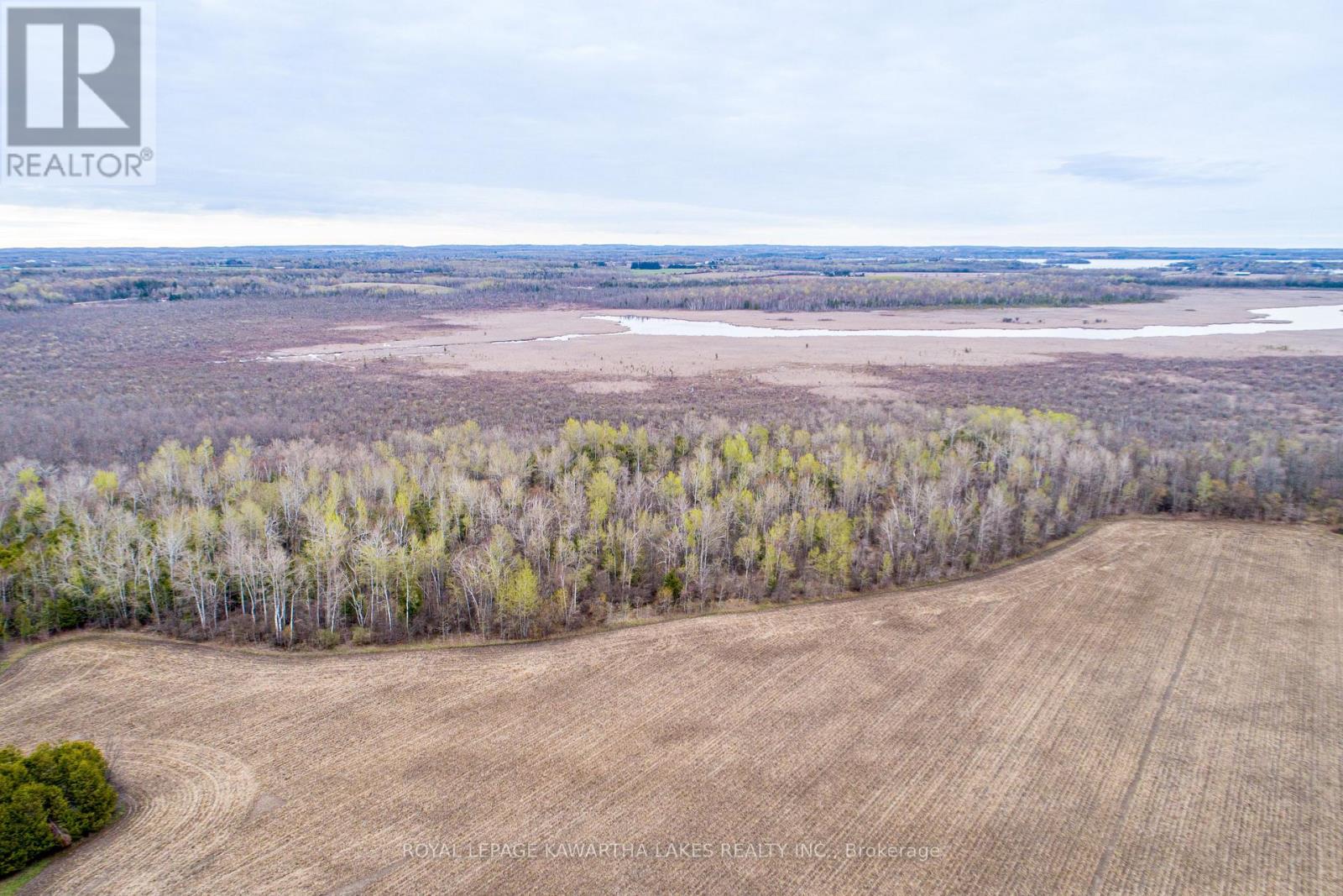 890 Ramsey Road, Kawartha Lakes, Ontario  K0M 2C0 - Photo 7 - X13079264