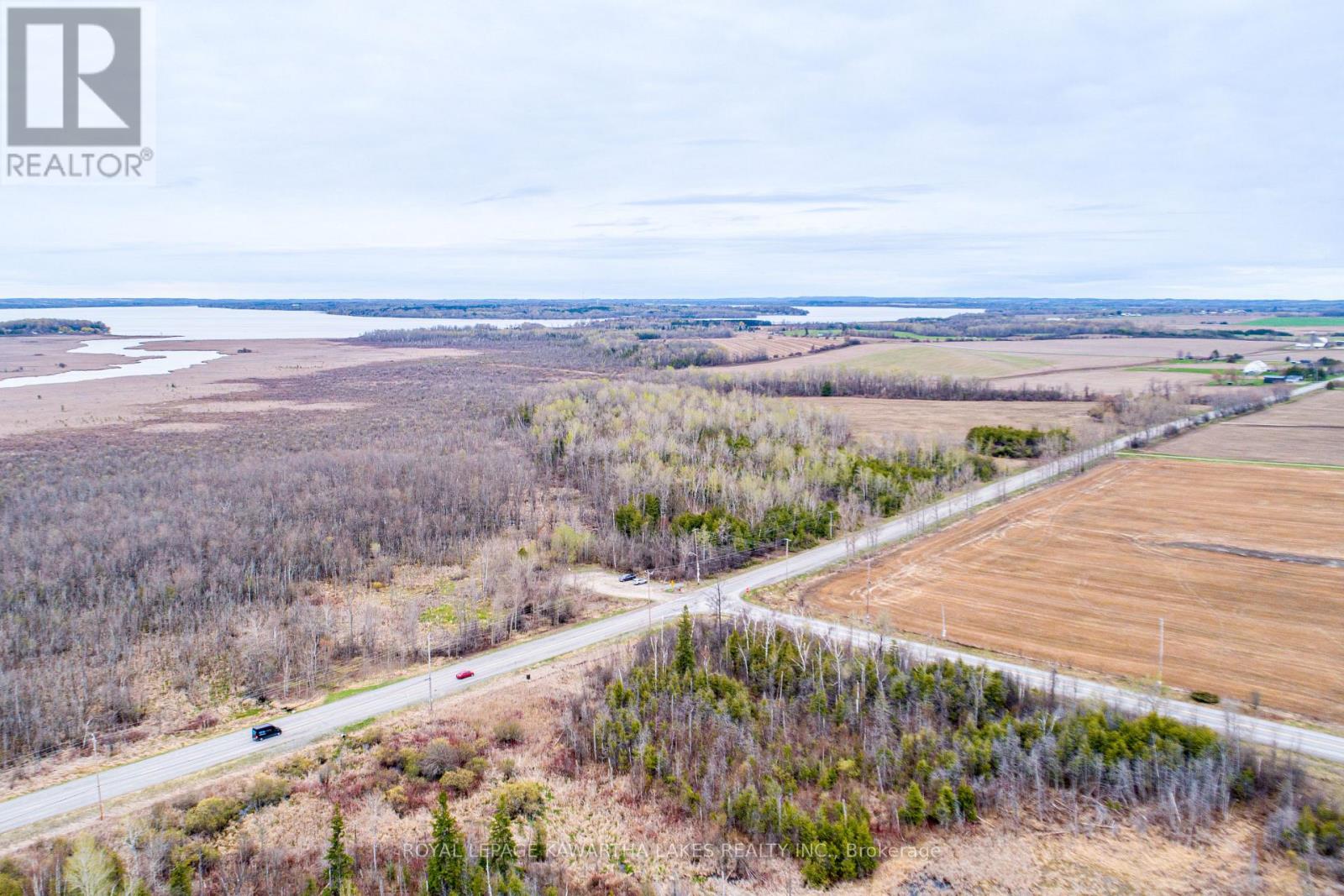 890 Ramsey Road, Kawartha Lakes, Ontario  K0M 2C0 - Photo 8 - X13079264