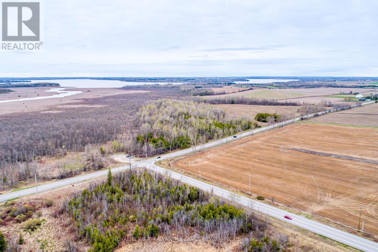 890 Ramsey Road, Kawartha Lakes, Ontario  K0M 2C0 - Photo 9 - X13079264