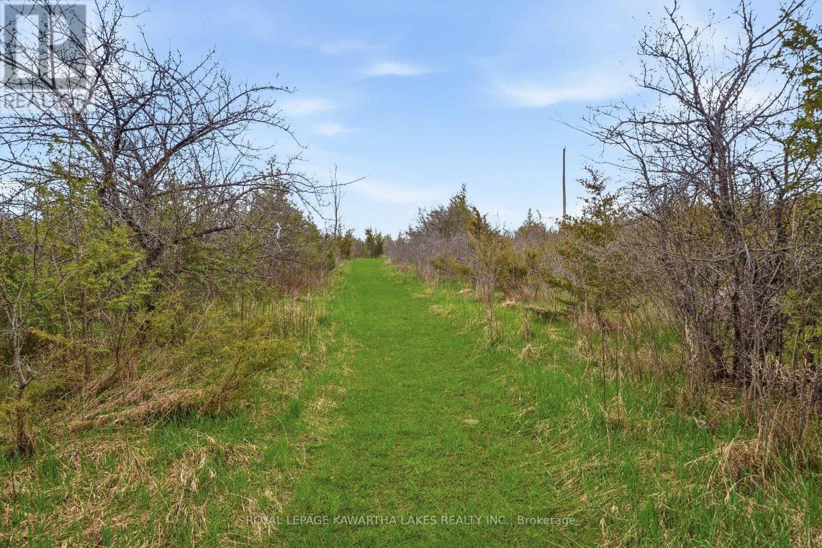 Pt Lt 17 Southside Road, Kawartha Lakes, Ontario  K9V 4R5 - Photo 15 - X13080968