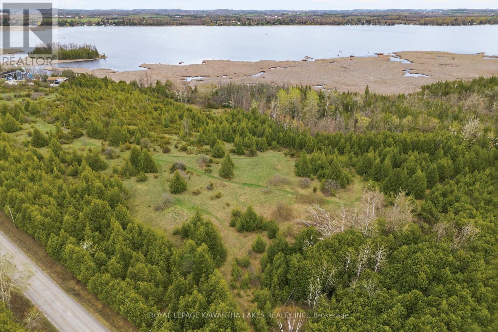 Pt Lt 17 Southside Road, Kawartha Lakes, Ontario  K9V 4R5 - Photo 19 - X13080968