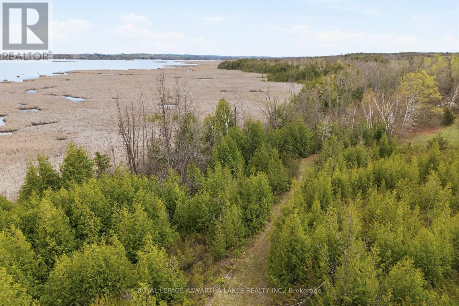 Pt Lt 17 Southside Road, Kawartha Lakes, Ontario  K9V 4R5 - Photo 23 - X13080968