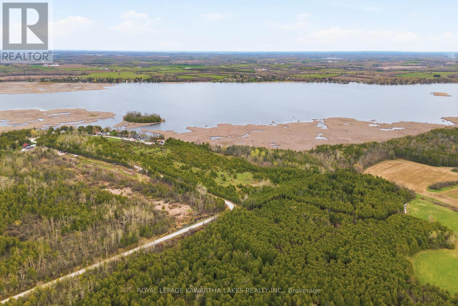 Pt Lt 17 Southside Road, Kawartha Lakes, Ontario  K9V 4R5 - Photo 3 - X13080968