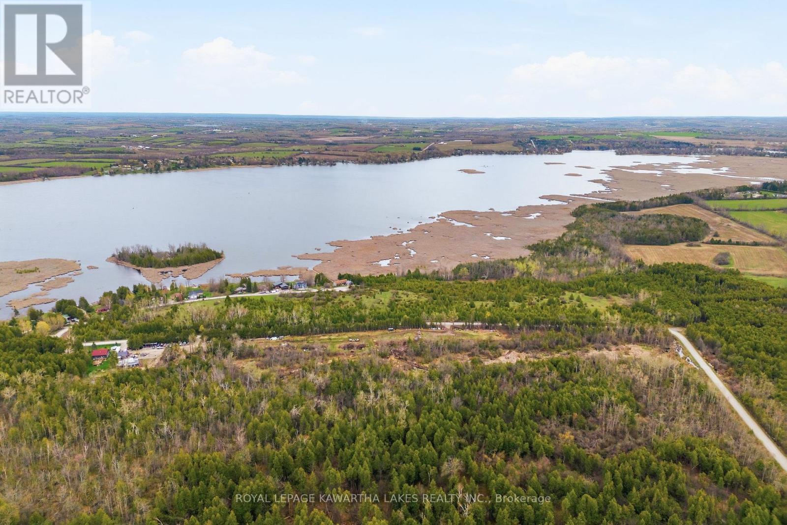 Pt Lt 17 Southside Road, Kawartha Lakes, Ontario  K9V 4R5 - Photo 4 - X13080968