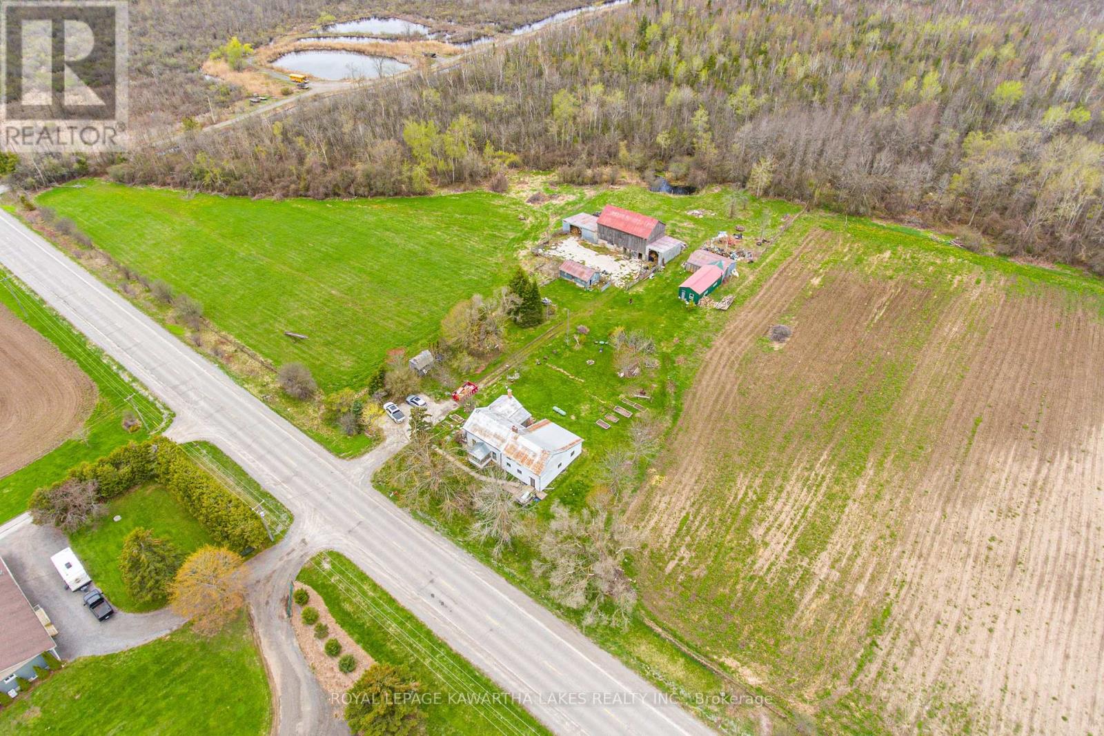 543 Ramsey Road, Kawartha Lakes, Ontario  K0M 2C0 - Photo 6 - X13091810