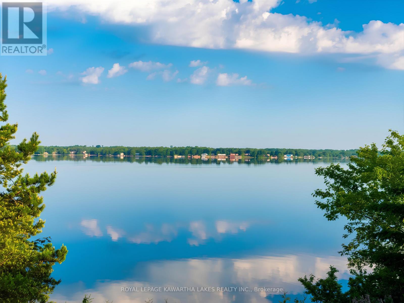 21 Emerald Street, Kawartha Lakes, Ontario  K9V 4R6 - Photo 48 - X13116588