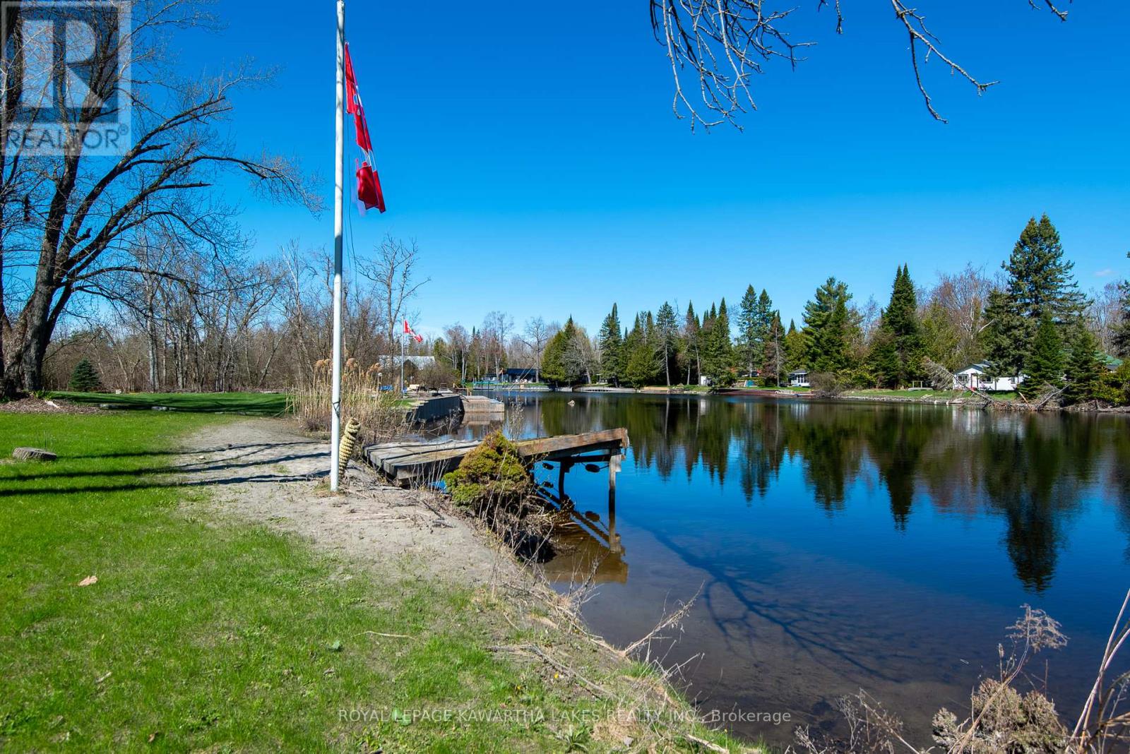 62 Evans Drive, Kawartha Lakes, Ontario  K0M 1N0 - Photo 33 - X13126084