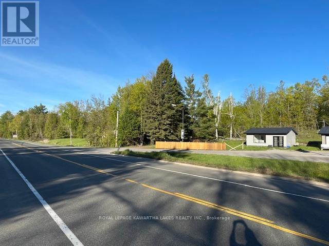 8574 Highway 28 Highway, North Kawartha, Ontario  K0L 1A0 - Photo 3 - X13141556